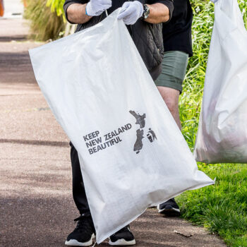 Reusable clean up bag