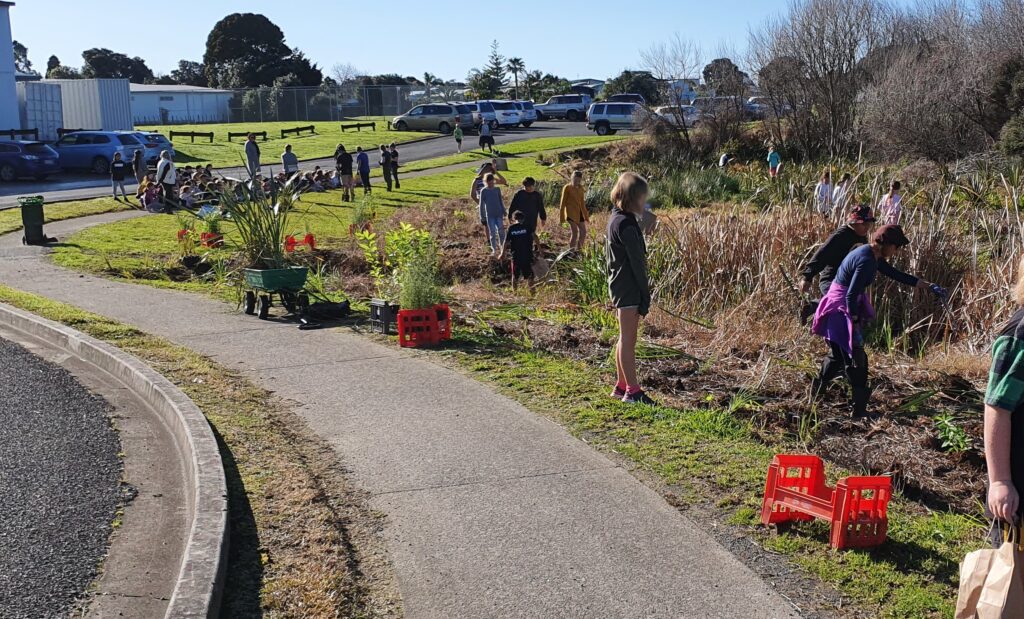 Te Mata Reserve Clean Up