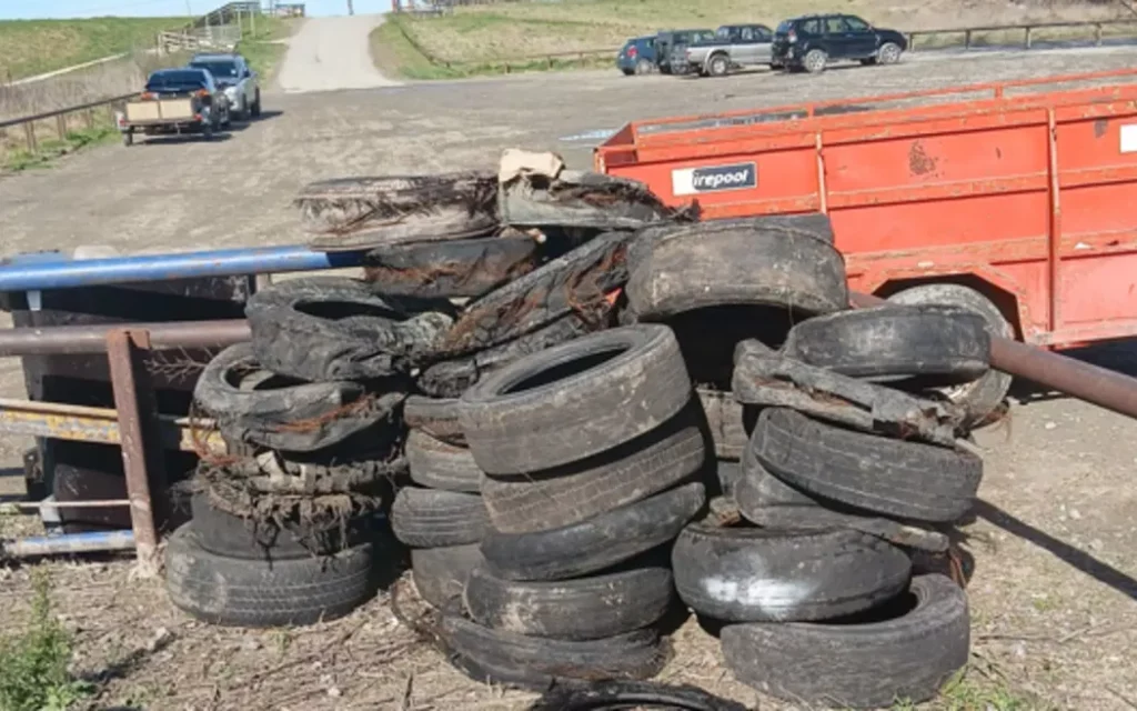 Young offroaders remove almost 400 tyres from riverbank